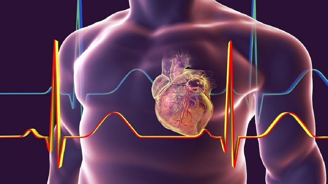أمراض القلب والأوعية الدموية