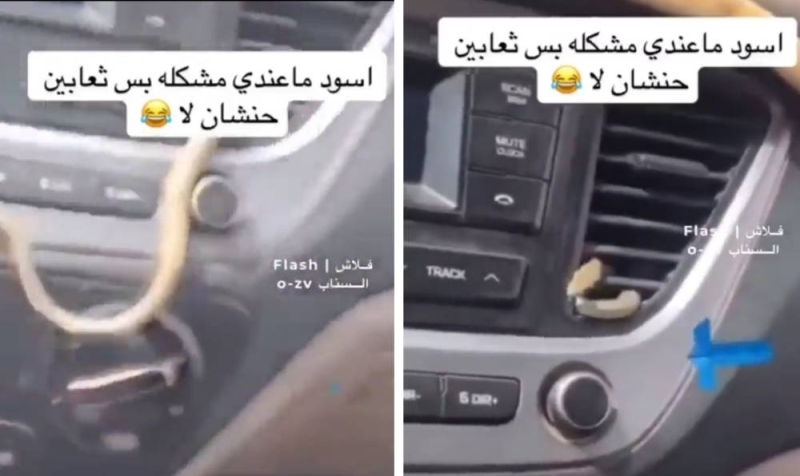 مواطن سعودي يتفاجأ بشئ مرعب يخرج من مكيف سيارته (فيديو)