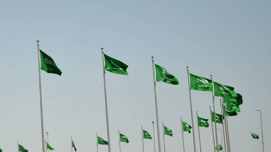 السعودية .. القبض على وافد يحاول تهريب مبلغ مالي كبير من أحد المنافذ الجوية بطريقة لاتخطر على البال 