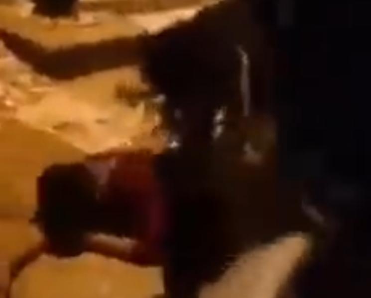 ردود فعل غاضبة..مجموعة أشخاص يضربون مواطن في عدن والأخير يستغيث ”باموت باموت”..شاهد