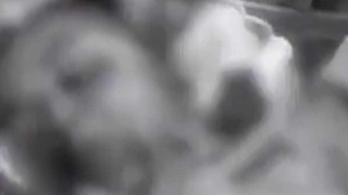 بعد ظهورها في مقطع فيديو على التيك توك.. عراقي يقتل طفلته بطريقة تشيب لها الولدان!