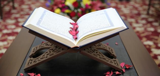 ما المقصود بـ “الحوايا” في قوله تعالى: “وَالْغَنَمِ حَرَّمْنَا عَلَيْهِمْ شُحُومَهُمَا إِلَّا مَا حَمَلَتْ ظُهُورُهُمَا أَوِ الْحَوَايَا”