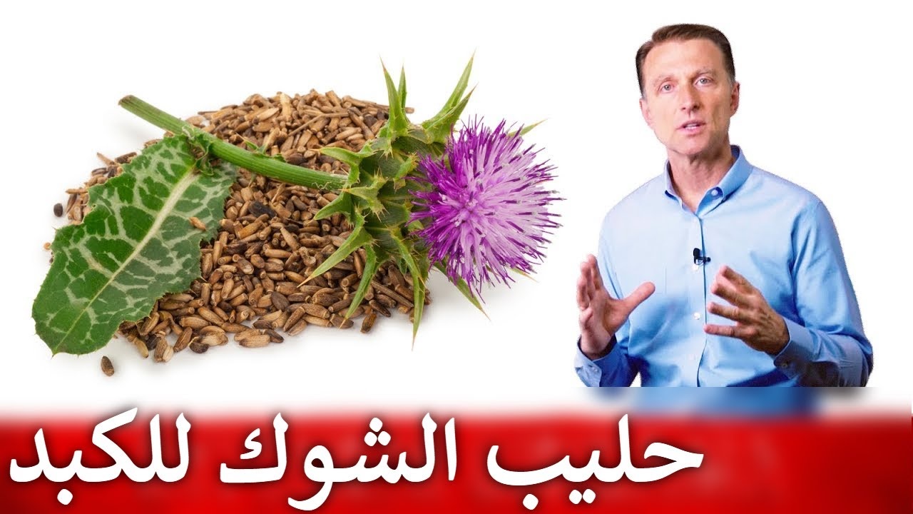 حليب الشوك للكبد