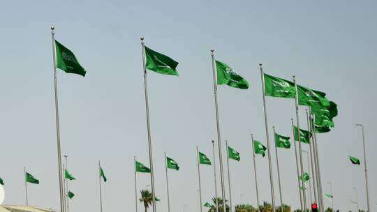 السعودية