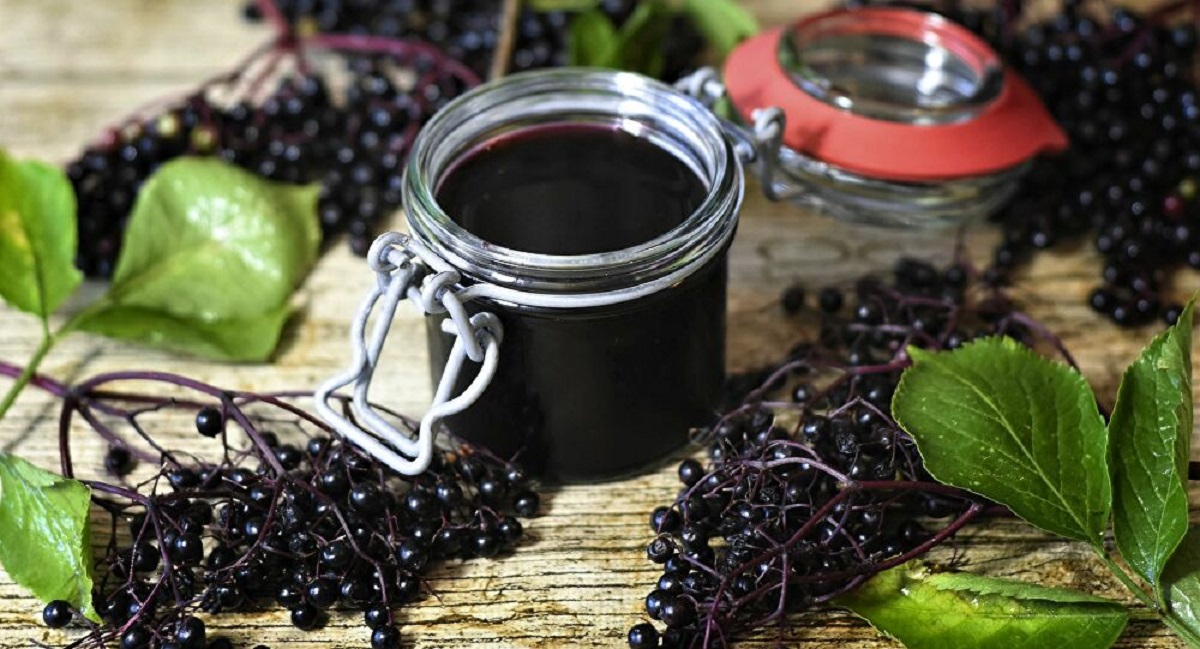  مشروب نبات البلسان