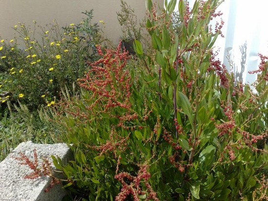 عثرب