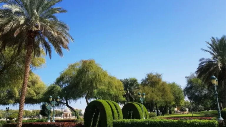 مجسم غريب في عمان