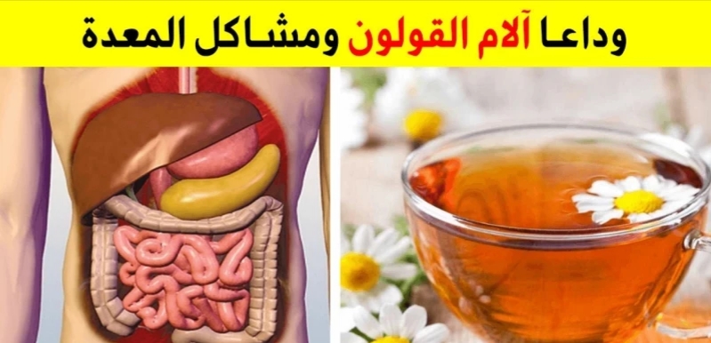 بلمح البصر .. عشبة متوفرة تطرد غازات وفضلات القولون وتعالج البواسير 