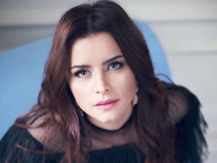 الفنانة نور