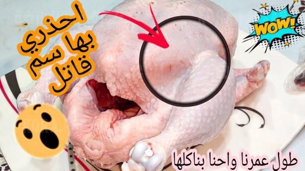 اضرار الدجاج