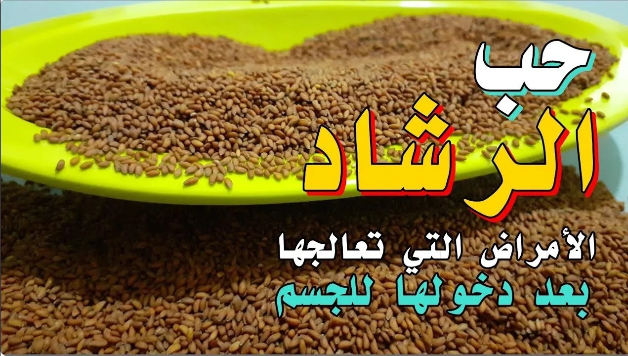 وداعا للفياجرا بعد الأن .. هذه العشبة السحرية متوفرة بقوة منشط جنسي طبيعي 100%..تعرف عليها وجعلها سلاحك الجبار على فراش النوم