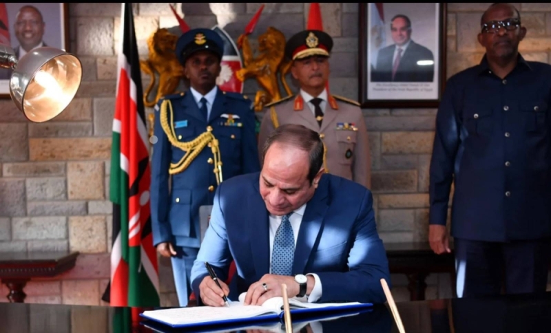 السيسي