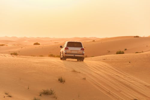 واقعة تهز السعودية : زوج يدفن زوجته في صحراء تحت الرمال وبعد تسعة أشهر حدثت هذه المفاجأة الكبرى!!
