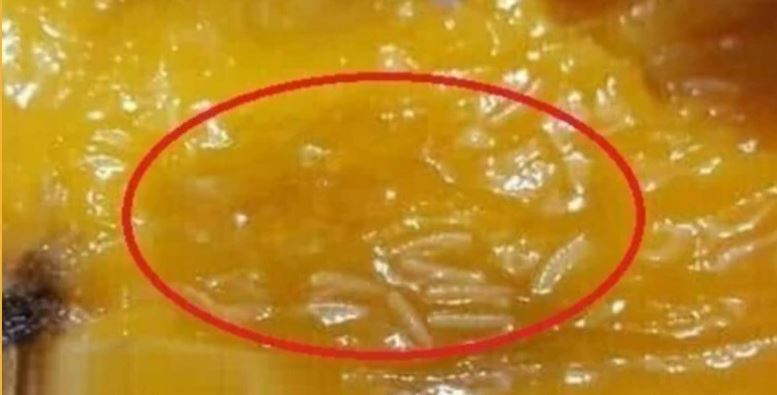 مانجا مرعبة تجتاح الأسواق .. اكتشف هذا النوع المخيف الذي فقدت أسرة حياتها بشكل غامض