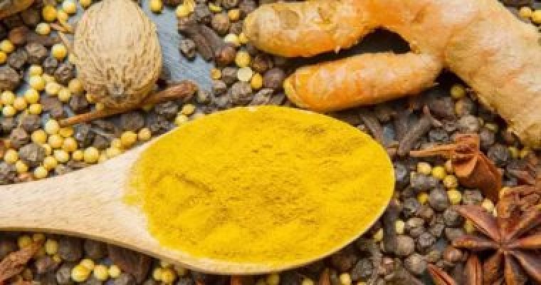 سر رباني في هذه العشبة ! .. تقضي على 40 مرض وتعزز الذاكرة والتركيز وتدافع عن السكر وتبعد الزهايمر