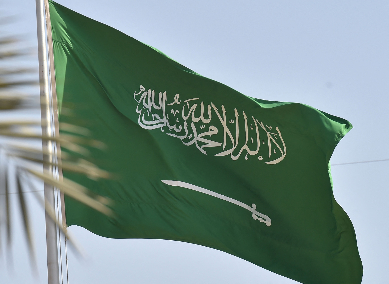  خبر سار تزفه السعودية لاصحاب هذه المهن بمنحهم الجنسية السعودية بكل سهولة ! .. فهل أنت منهم ؟