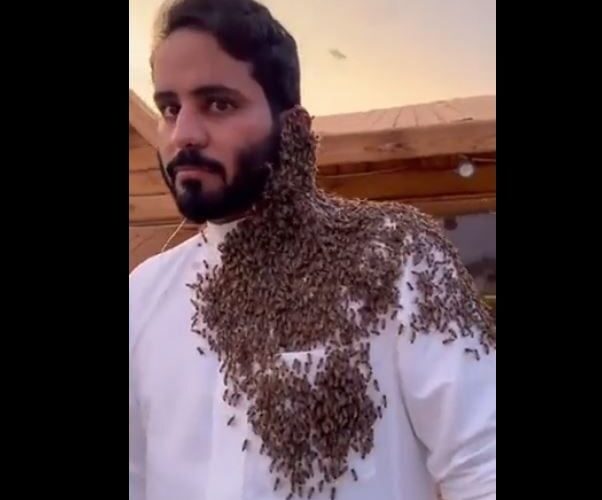 مشهور سناب شات سعودي يوثق تجمّع ١٥ ألف نحلة على وجهه.. والنهاية صادمة!
