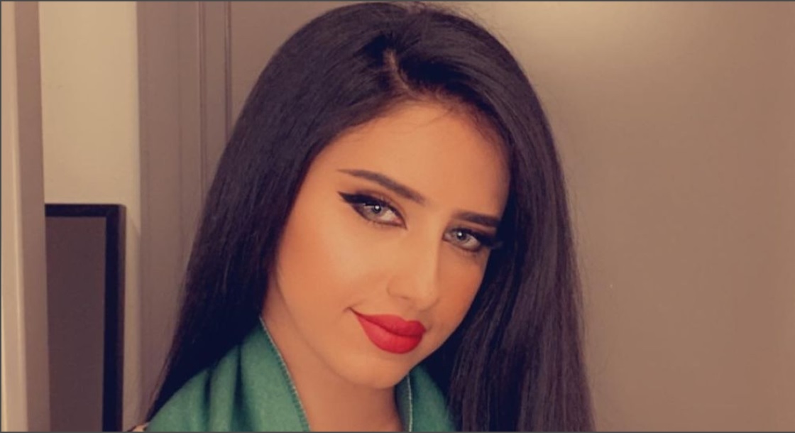 مودل آش​