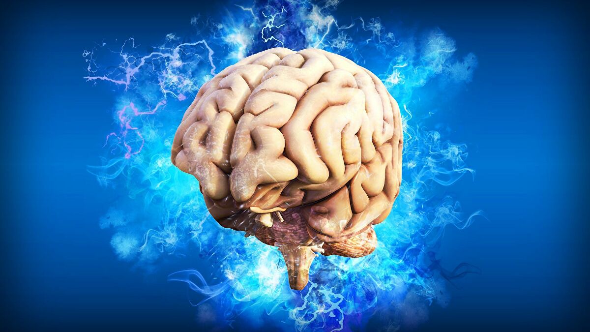 هذا الطعام يقوي الذاكرة ويغذي المخ ويحسن بنية الدماغ؟! (تعرف عليه الآن)