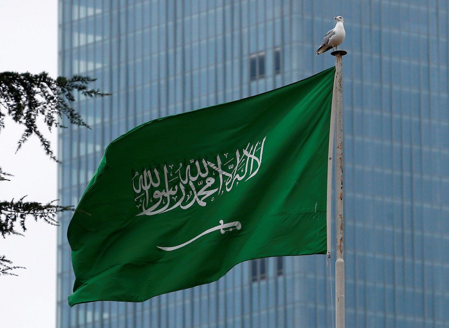 مفاجأة سارة ومبهجة تعلنها السعودية لتسعد كافة اليمنين في هذة اللحظات