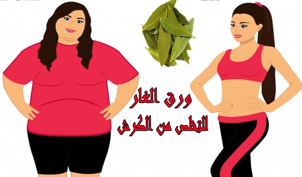 ورق الغار الكنز الذي يحلم به الكثير..استخدمة بهذا الشكل ستجعل بطنك مسطحاً وشعرك كثيف وناعم خالي من الشيب (الطريقة الصحيحة)